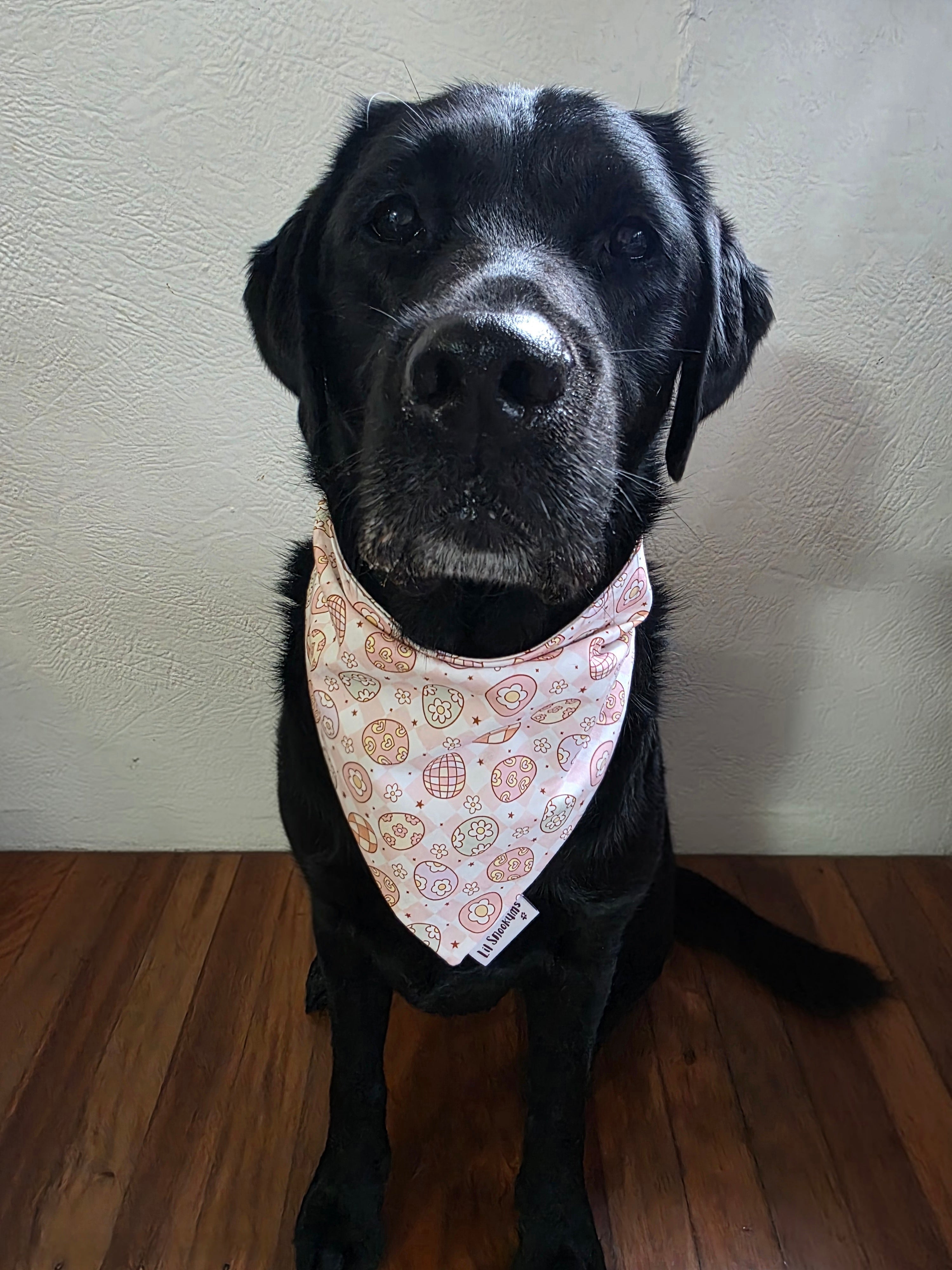Easter Bandana - Easter Eggs
