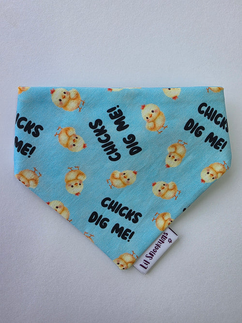 Chicks Dig Me