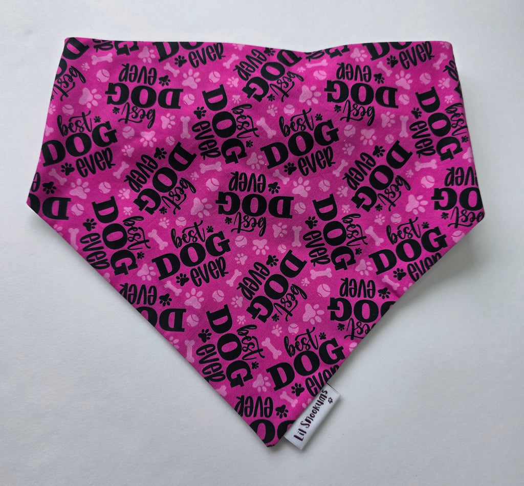 Scrunchie Back Best Dog Bandana