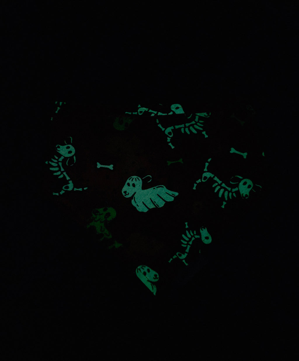 Halloween - Glow in the Dark Tie up Bandana