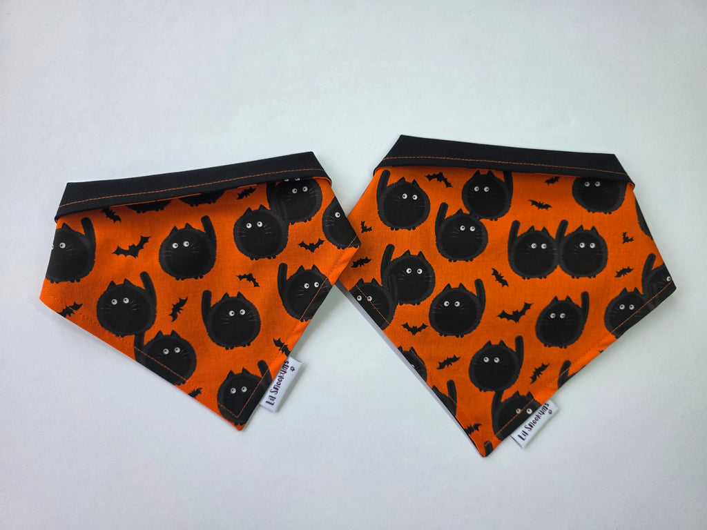 Halloween Black Cats Tie up Bandana